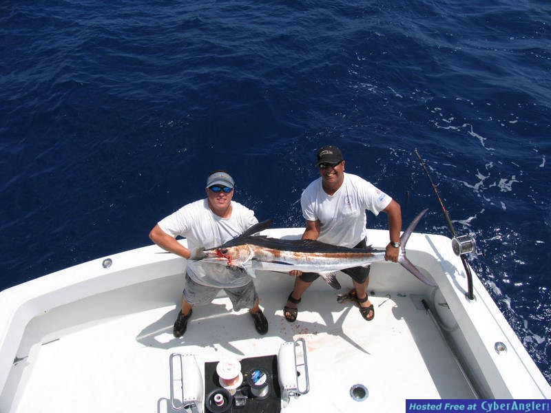 Q_white_marlin_IMG_0914