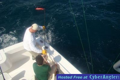 Captain Taco - Fort Lauderdale Florida Hooked Up Sportfishing - (954) 764-4