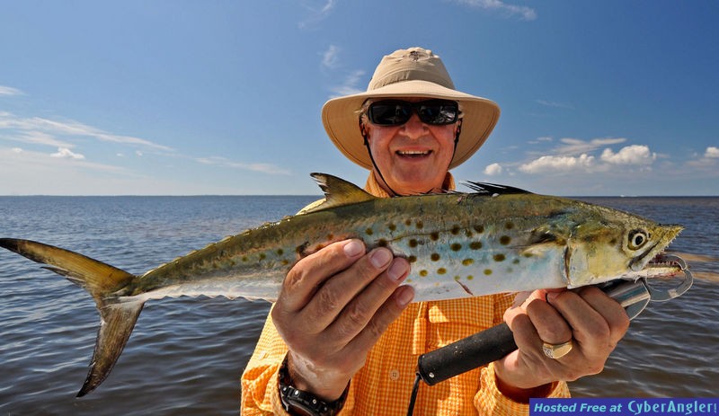 Charlotte Harbor Mackerel