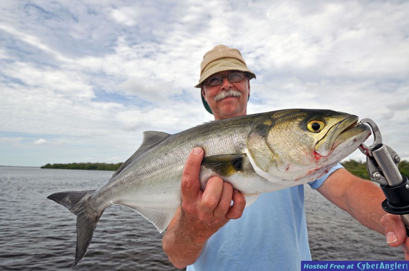 Bokeelia Bluefish