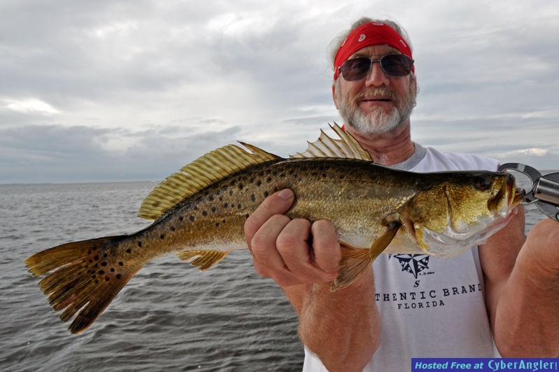 Pine Island Sea Trout