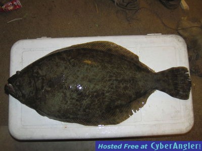 St Simons Island Flounder