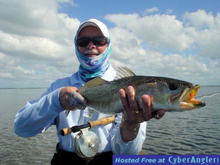 Mike Perez's Sarasota Bay fly trout
