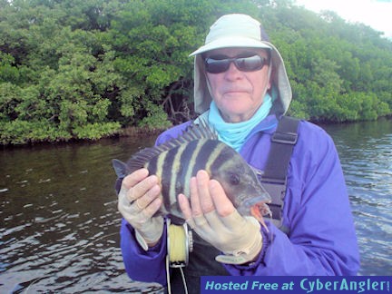 Nick Reding's Sarasota Bay fly sheepshead