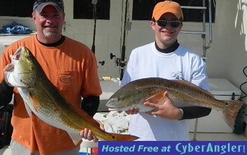 Bull redfish caught November 2011