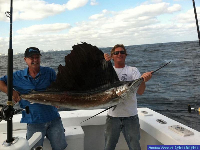 Sailfish are snapping in Lauderdale