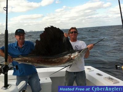 Sailfish are snapping in Lauderdale