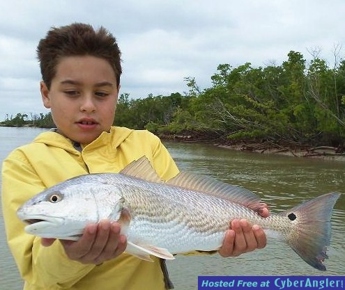 Sebastians_Redfish