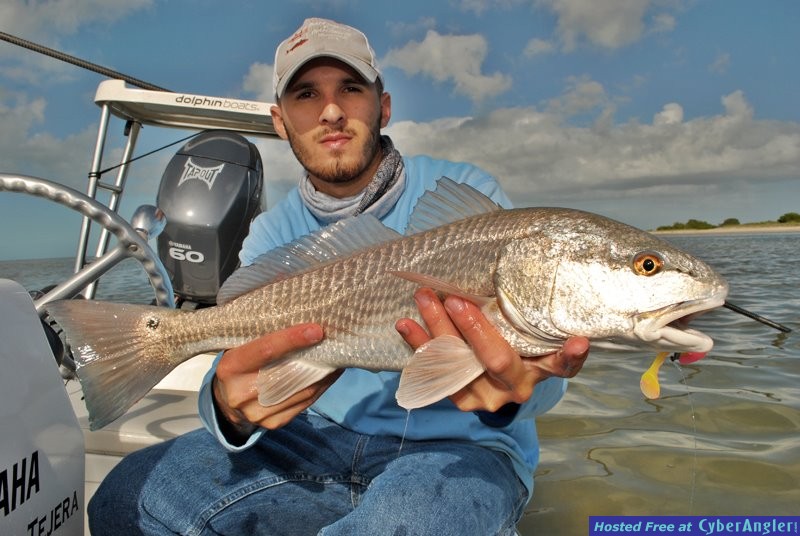 stevensredfish