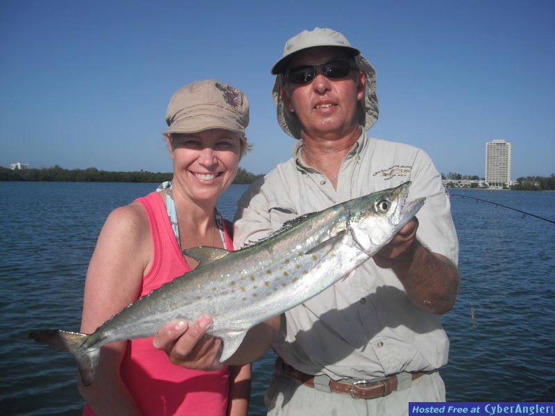 Spanish mackerel