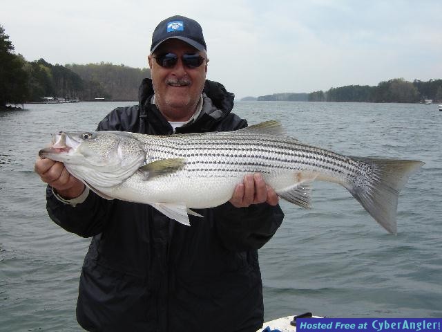 Lake Lanier Spring fishing is still good.