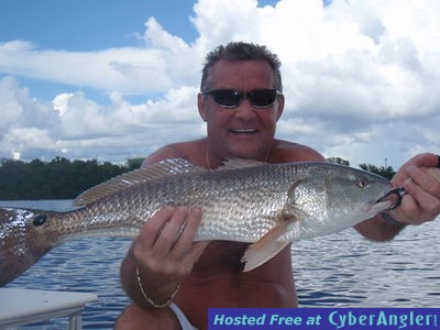 tampa redfish