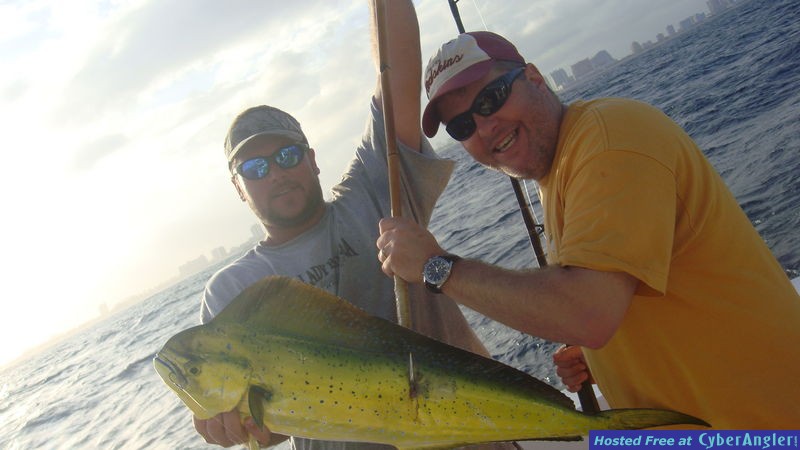 mahi mahi on sufix leader