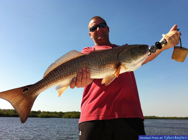 Big Backcountry Redfish