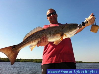 Click to Enlarge Photo