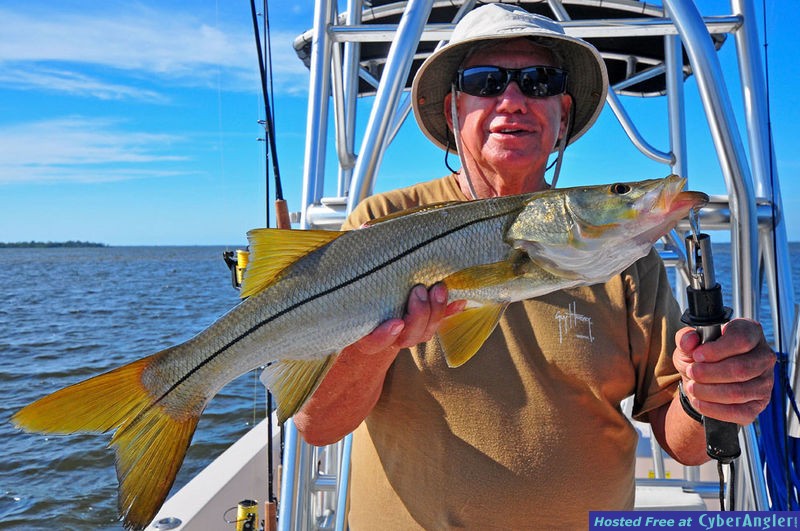 Bokeelia Snook