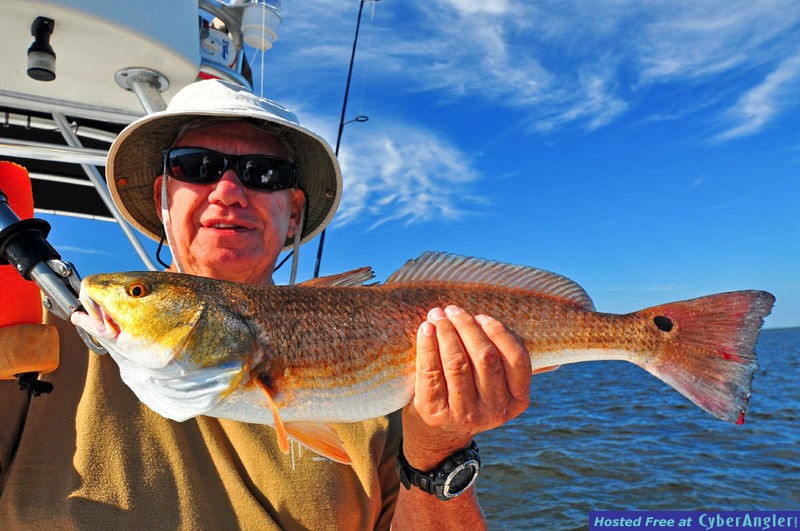 25 inch Redfish