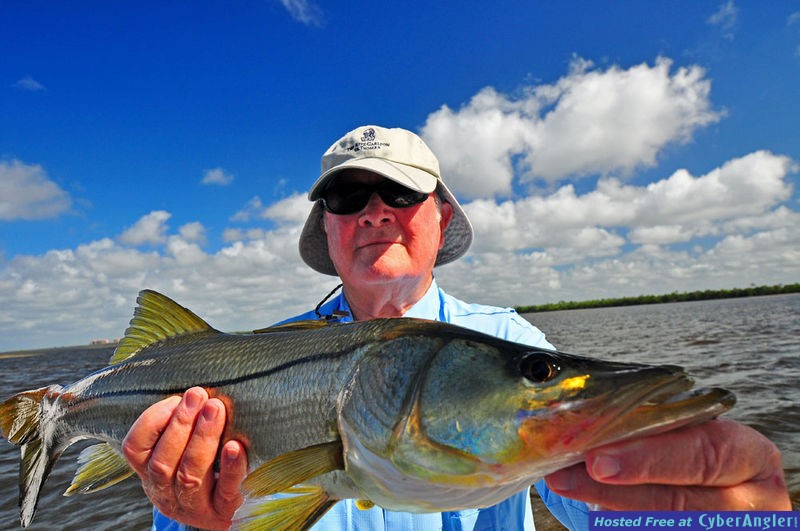 30 inch Charlotte Harbor Snook