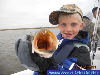 Click to Enlarge Photo