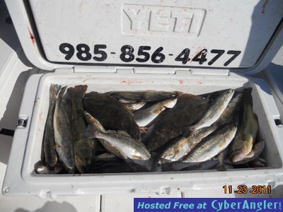 Click to Enlarge Photo