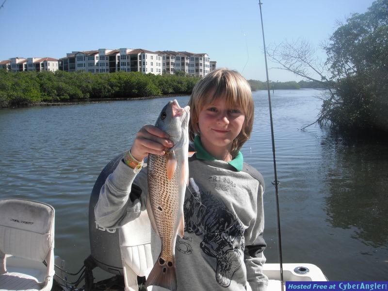 Redfish caught in Sarasota