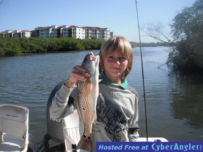 Redfish caught in Sarasota