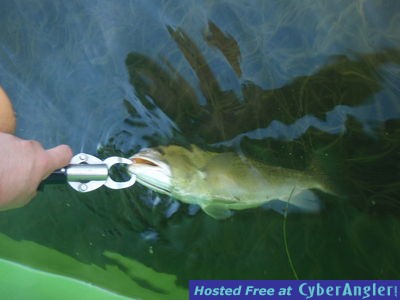 Click to Enlarge Photo