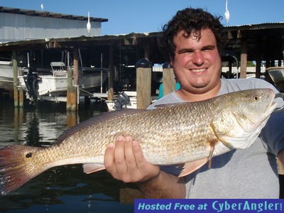 Tampa fishing redfish