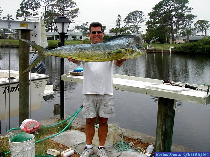 Mahi
