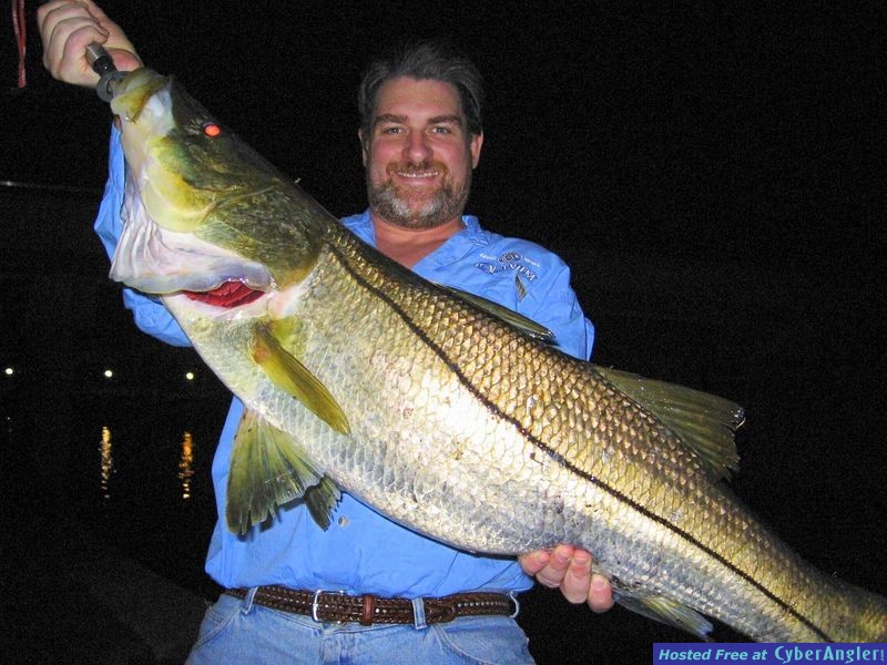 Sarasota Snook Fishing