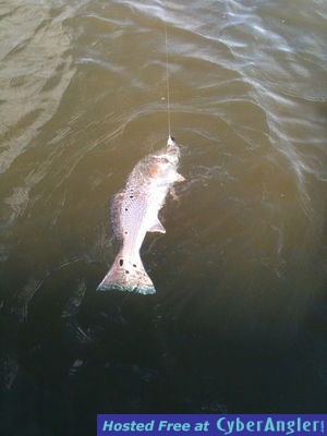 Click to Enlarge Photo