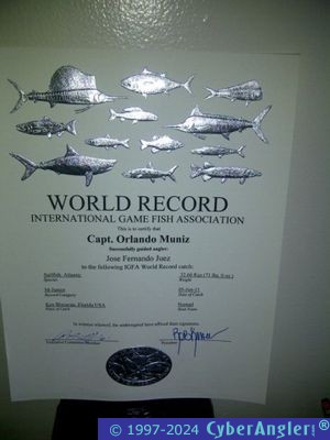 JJ's Record Sailfish