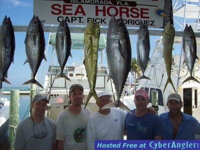 black fin tunas