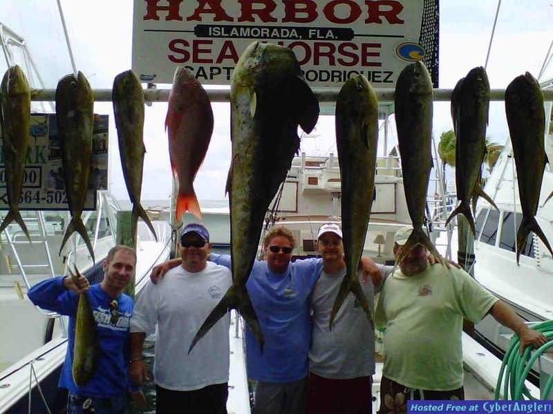 rack of mahi wahoo