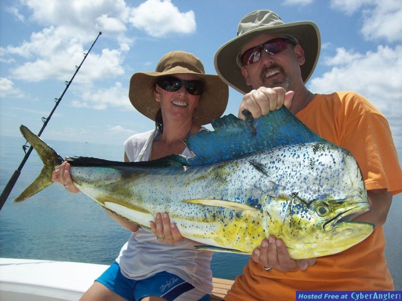Sea Horse Mahi lit up
