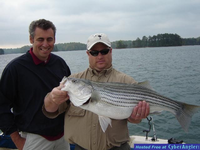 Fun to Catch