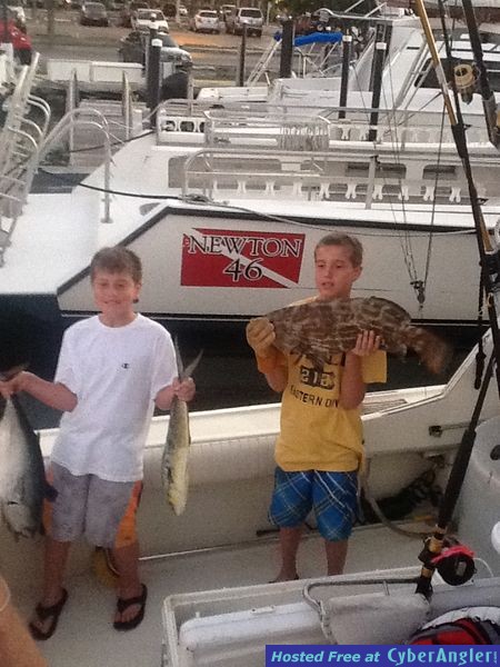 Black Grouper