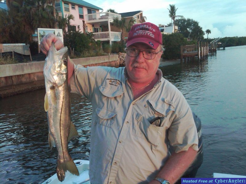 Largemouth Bass in Sarasota, Fl
