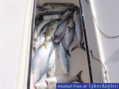 Click to Enlarge Photo