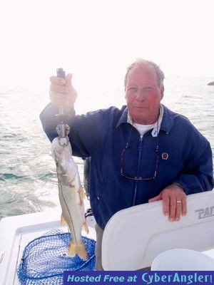 Click to Enlarge Photo