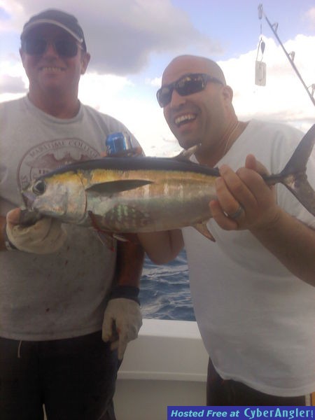 Black Fin Tuna mark