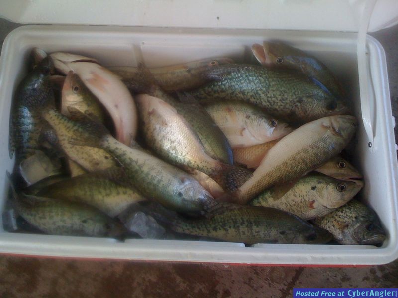 mike walker's crappie run