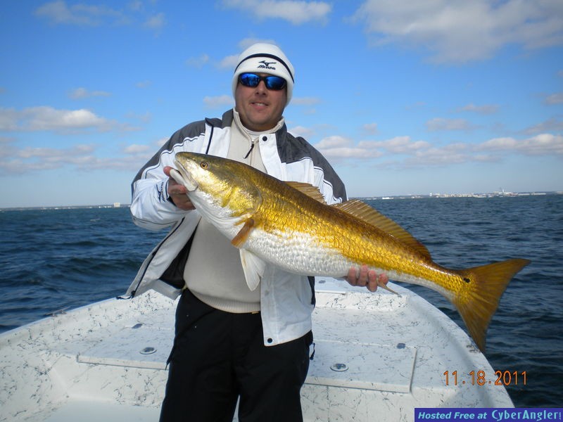 Full Net Fishing Charters - Fall 2011