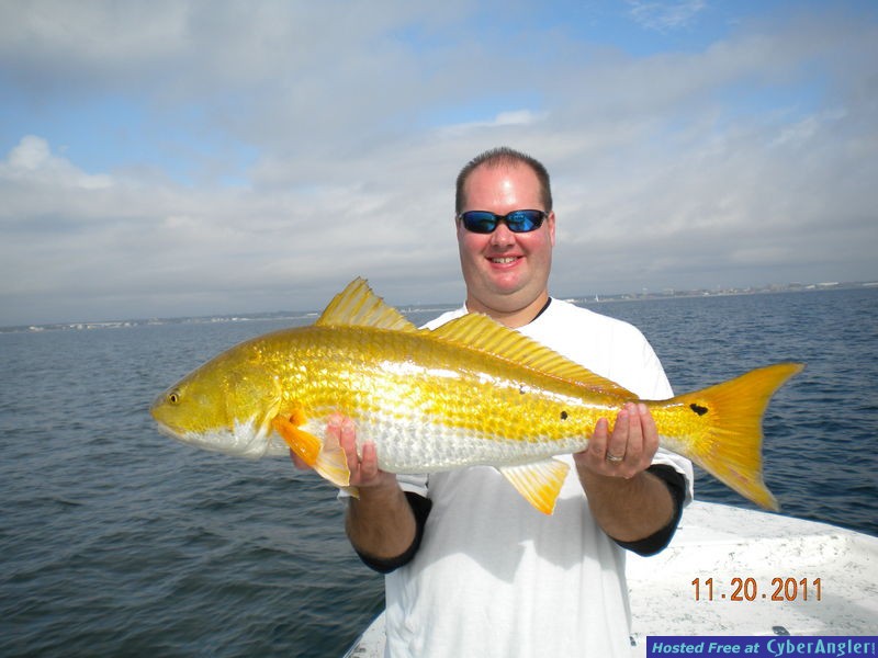 Full Net Fishing Charters - Fall 2011