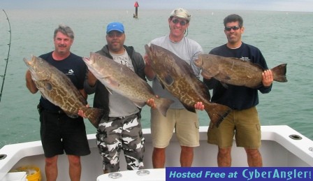 grouper