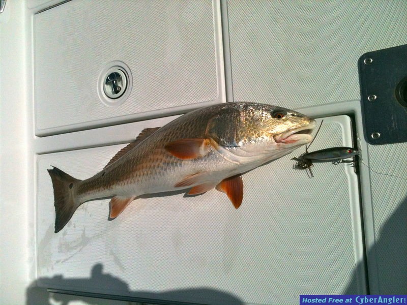 Click to Enlarge Photo