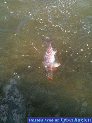 Click to Enlarge Photo