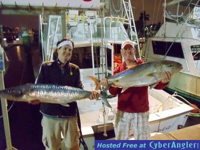 amberjack_kingfish_001