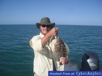 Sarasota flounder