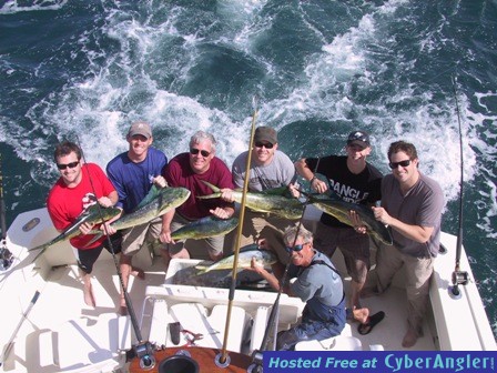 Nov_9_2011_Dolphin_web